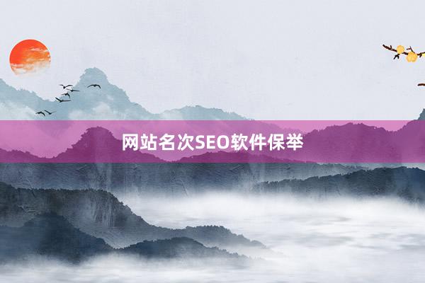 网站名次SEO软件保举